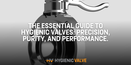The Essential Guide to Hygienic Valves: Precision, Purity, and Performance