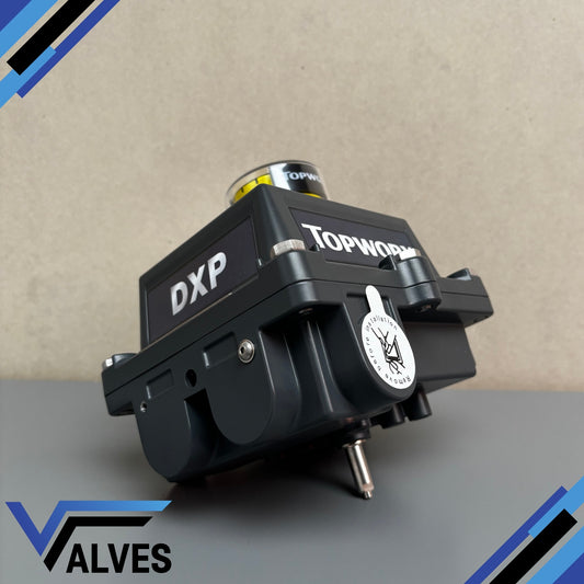TopWorx DXP-L21BNEB Limit Switch Box - top view