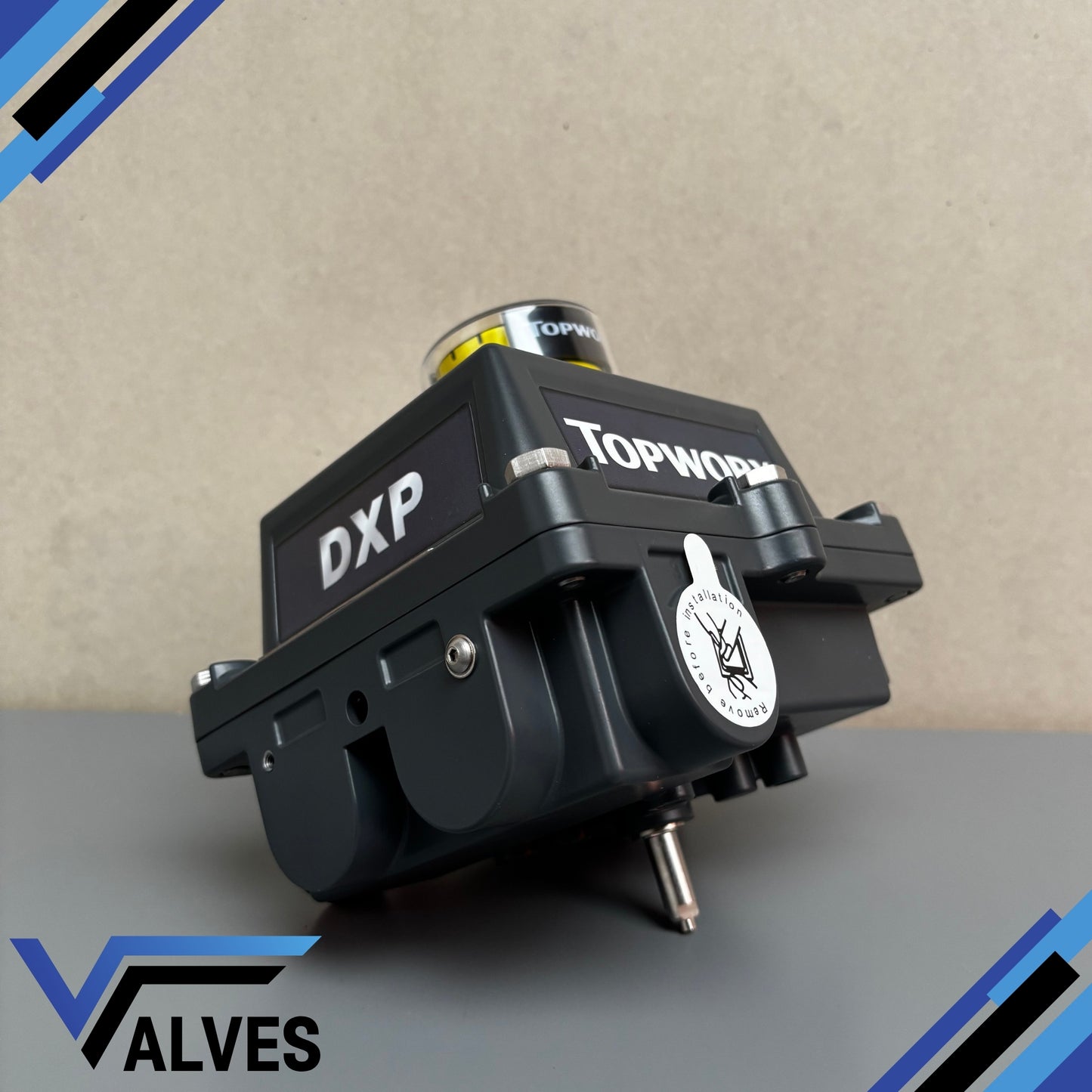 TopWorx DXP-L21BNEB Limit Switch Box