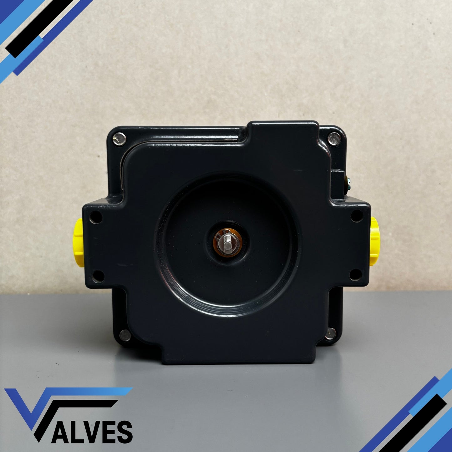 TopWorx TXP-E20GNMM Limit Switchbox