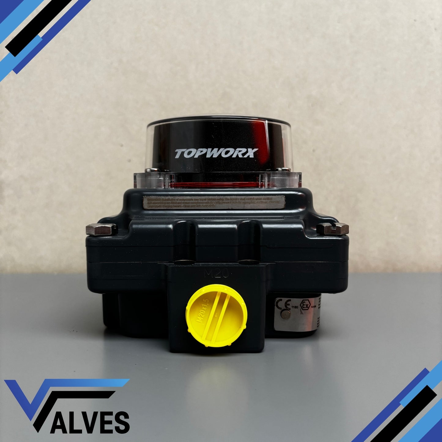 TopWorx TXP-E20GNMM Limit Switchbox