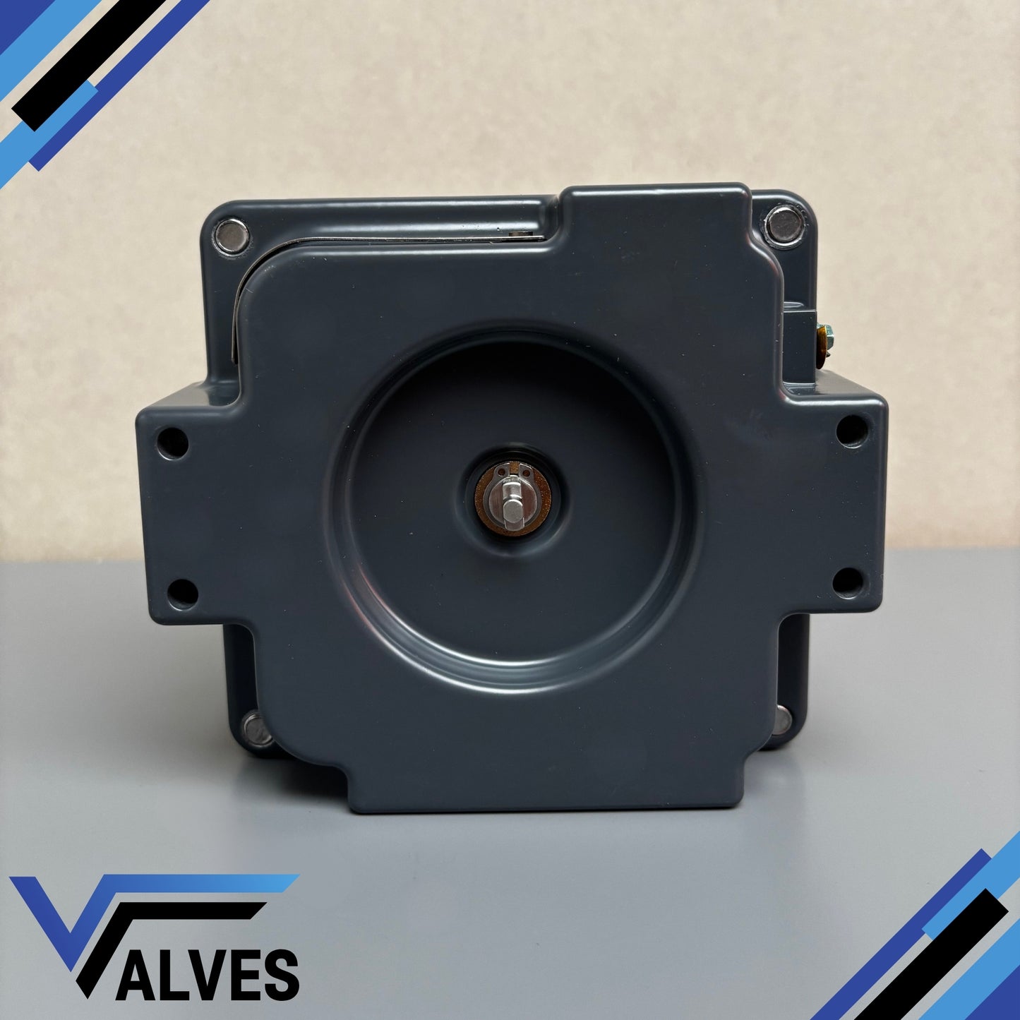 TopWorx TXP-E20GNPM Limit Switchbox