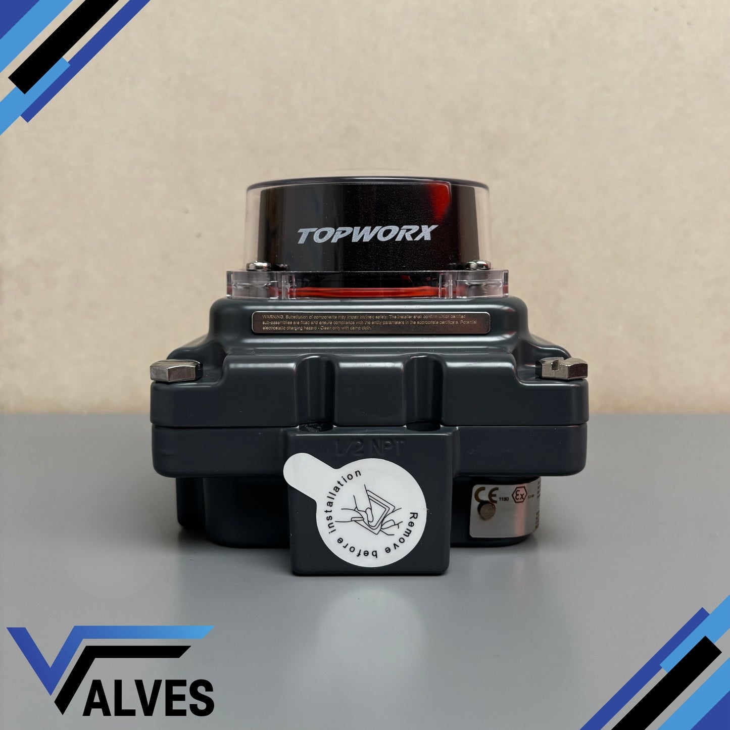 TopWorx TXP-E20GNPM Limit Switchbox